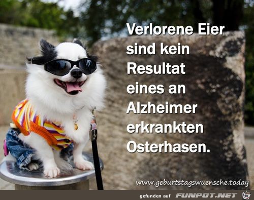 verlorene Eier verlorene Eier