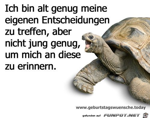 ich bin alt genug ich bin alt genug