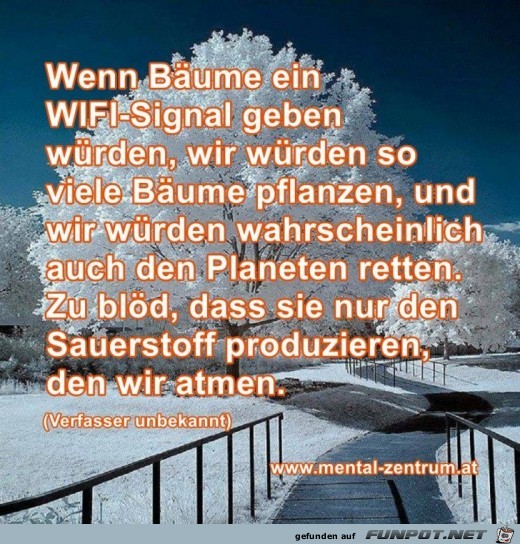 Wenn Baeume Wenn Baeume