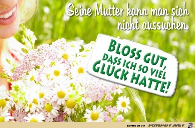 Seine-Mutter-kann-man-sich-nicht-aussuchen Seine-Mutter-kann-man-sich-nicht-aussuchen