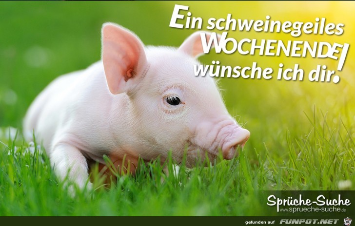 -ein-schweinegeiles-wochenende-wuensche-ich-dir -ein-schweinegeiles-wochenende-wuensche-ich-dir