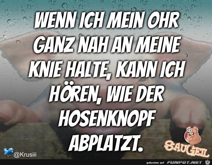Mein Ohr Mein Ohr