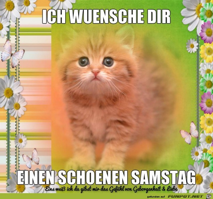 Wuensche Dir Wuensche Dir