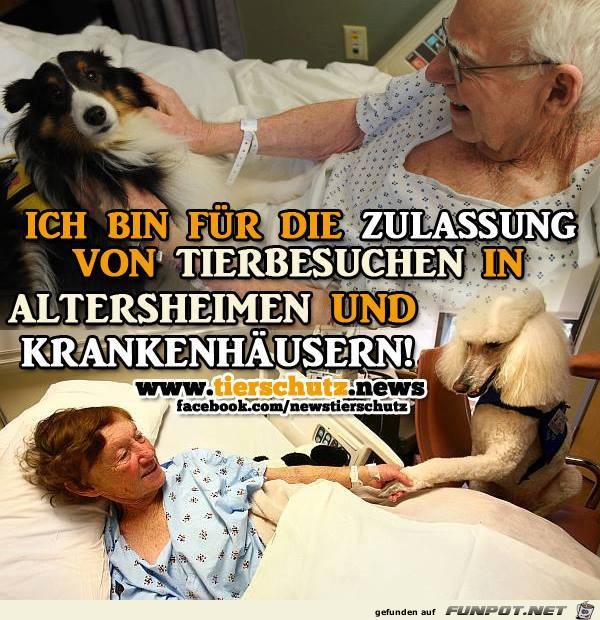 Bin fuer die Zulassung Bin fuer die Zulassung