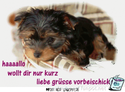 halllloooo wollt dir nur 