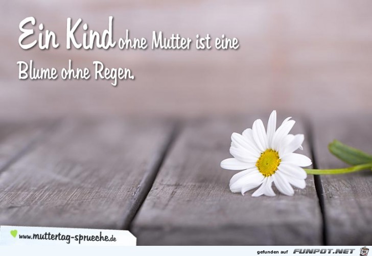 Ein-Kind-ohne-Mutter-ist-eine-Blume-ohn Ein-Kind-ohne-Mutter-ist-eine-Blume-ohn