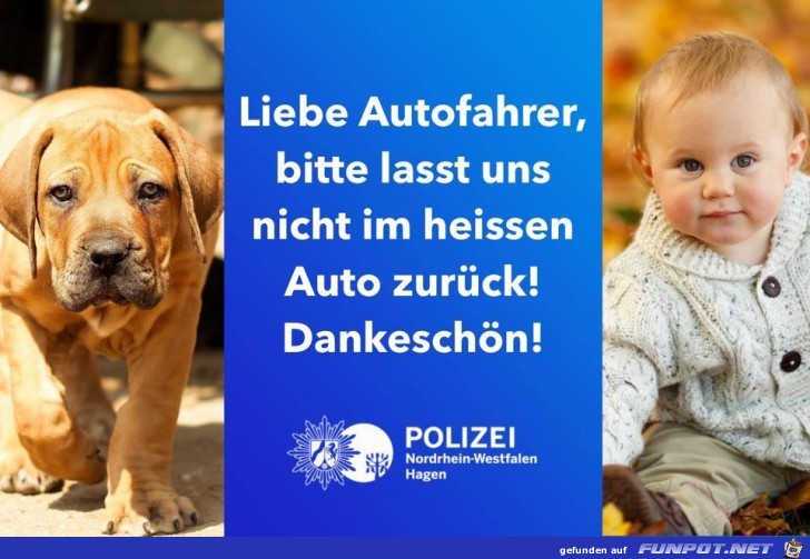 Liebe Autofahrer Liebe Autofahrer