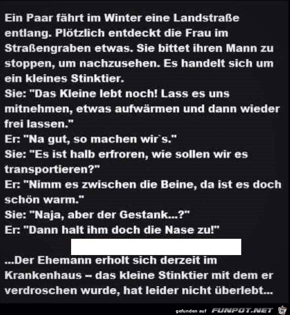 Ein Paar Ein Paar