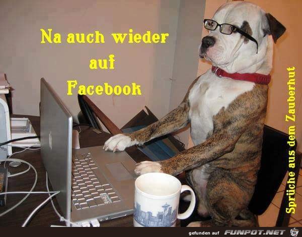 Na auch wieder Na auch wieder