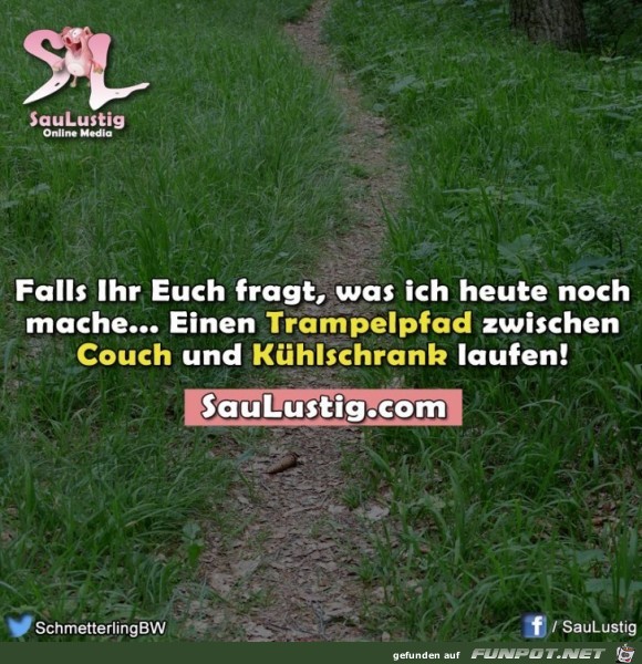 Trampelpfad Trampelpfad