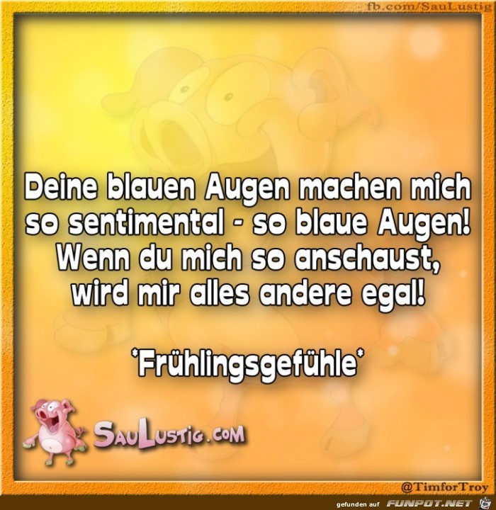 Deine-blauen-Augen