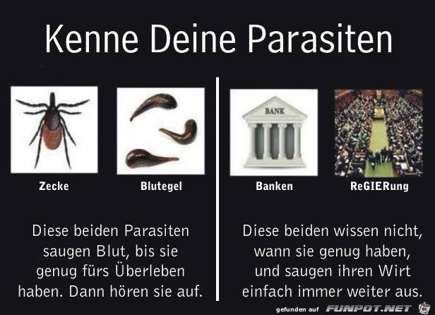 Parasiten Parasiten