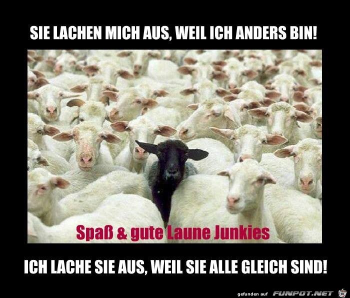 Sie lachen mich aus Sie lachen mich aus