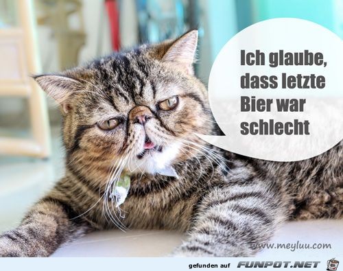 das letzte Bier das letzte Bier