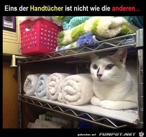 witzige Bilder aus verschiedenen Blogs