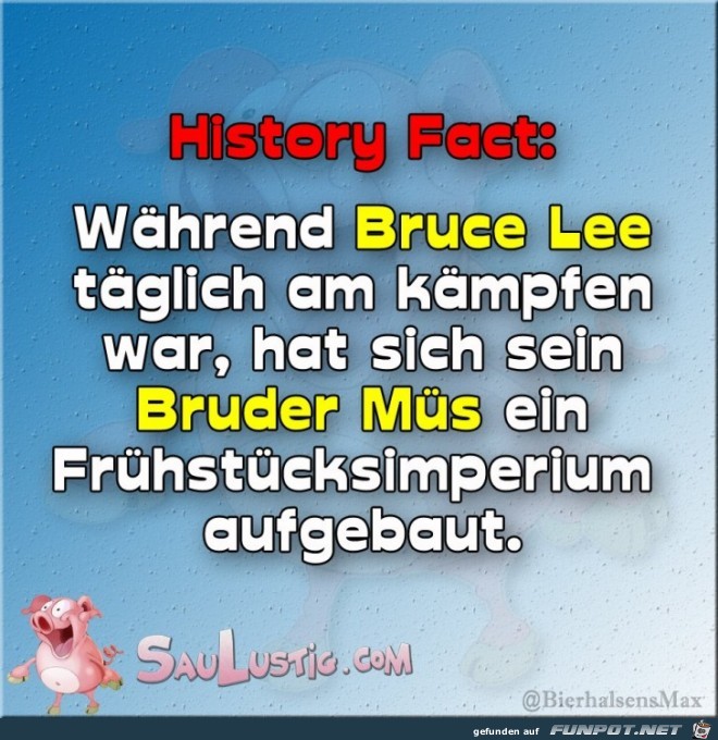 history history