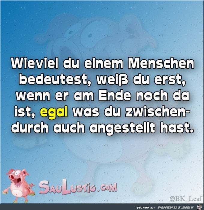 angestellt hast