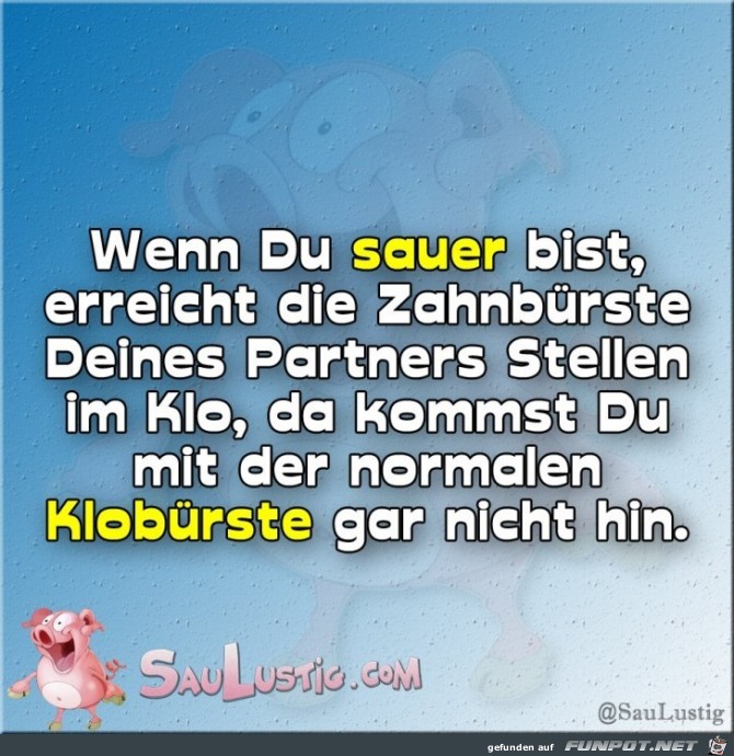 sauer sauer