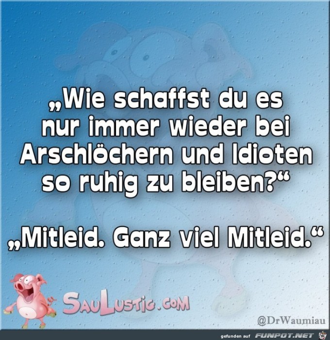 Mitleid Mitleid