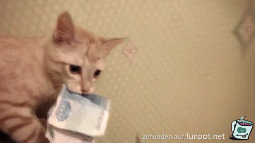 soll ich oder soll ich nicht soll ich oder soll ich nicht
