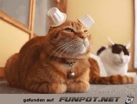 Lustige Öhrchen Lustige Öhrchen
