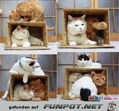 Platz ist immer Platz ist immer