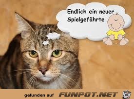 Endlich Endlich