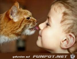 Tierliebe