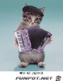 Musiker Musiker