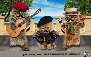 Musikband Musikband