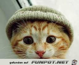 Coole Mütze Coole Mütze