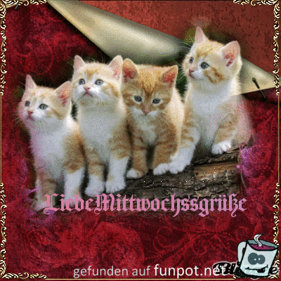 mittwoch mittwoch