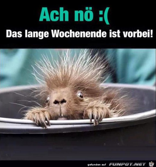 Wochenende ist vorbei