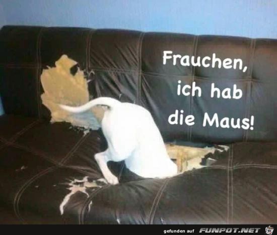 Wo ist die Maus