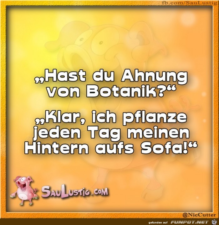 Hast Du Ahnung von Botanik Hast Du Ahnung von Botanik