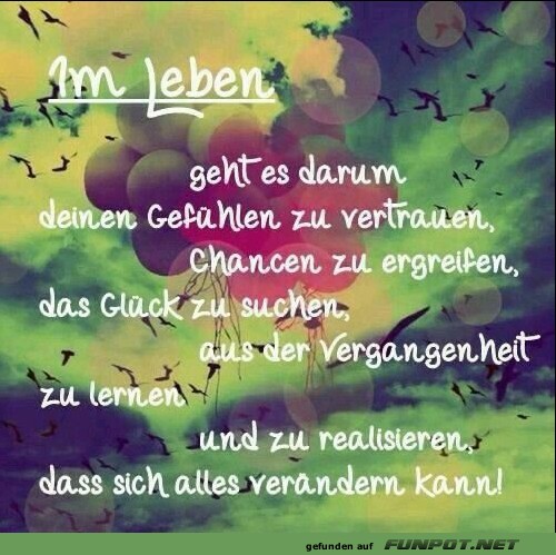 10 sch�ne Spr�che und Lebensweisheiten aus...
