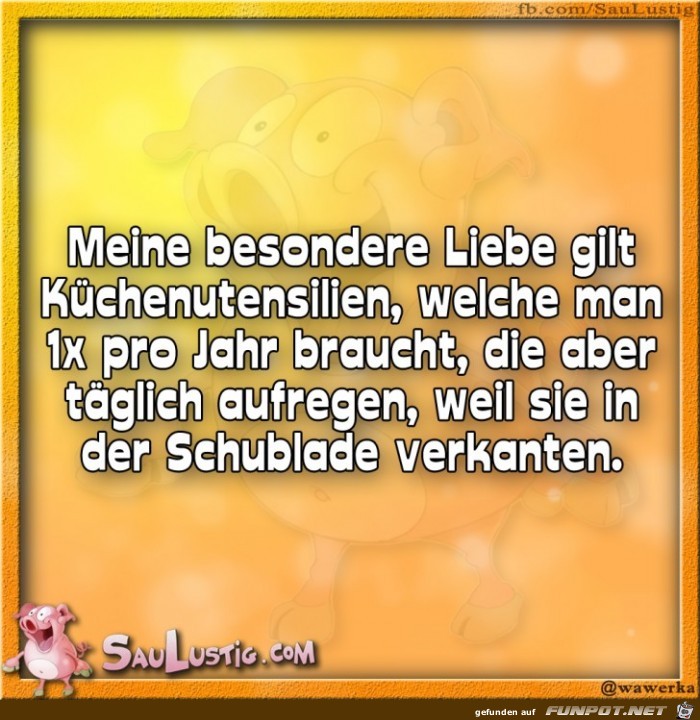 Meine-besondere-Liebe-gilt