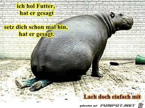 Hol Futter Hol Futter