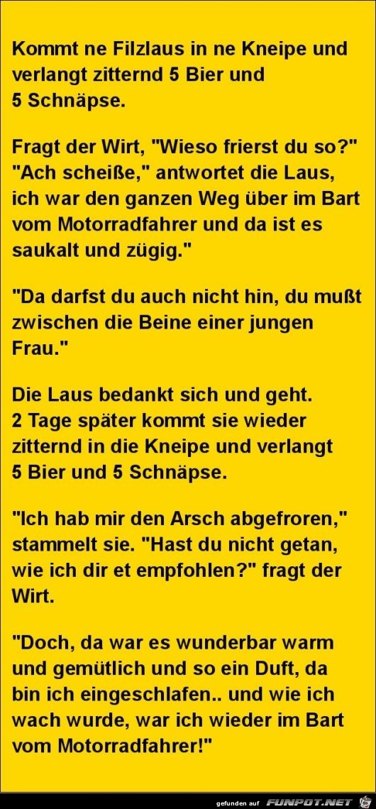 ne Filzlaus in der Kneipe ne Filzlaus in der Kneipe
