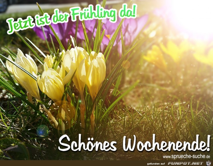 schoenes-wochenende-jetzt-ist-der-fruehling-da