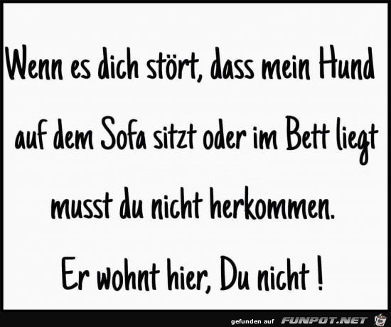 wenn es dich stoert wenn es dich stoert