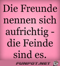 die Freunde nennen 