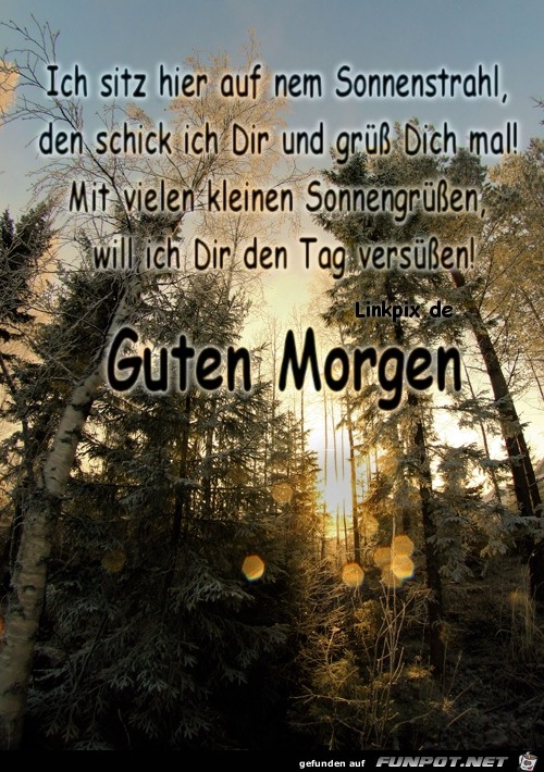 ich sitz hier auf nem Sonnenstrahl ich sitz hier auf nem Sonnenstrahl