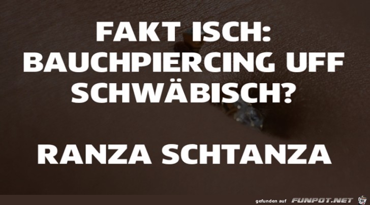 Bildle, bei dene jedr Schwob sagd: Bildle, bei dene jedr Schwob sagd: