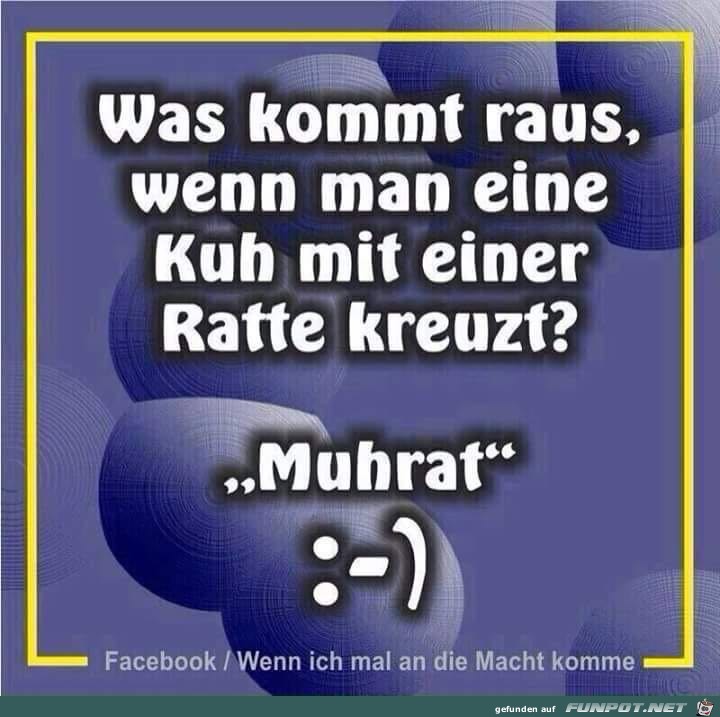 Was kommt raus