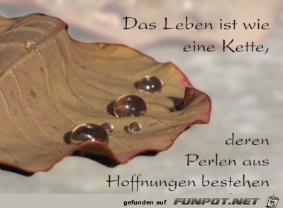 Das Leben ist wie eine Kette Das Leben ist wie eine Kette