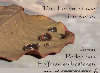 Das Leben ist wie eine Kette