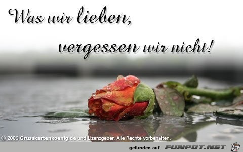 Was wir lieben Was wir lieben