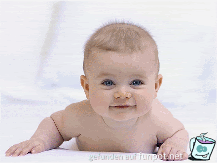 Hallo einen schoenen guten Morgen Hallo einen schoenen guten Morgen