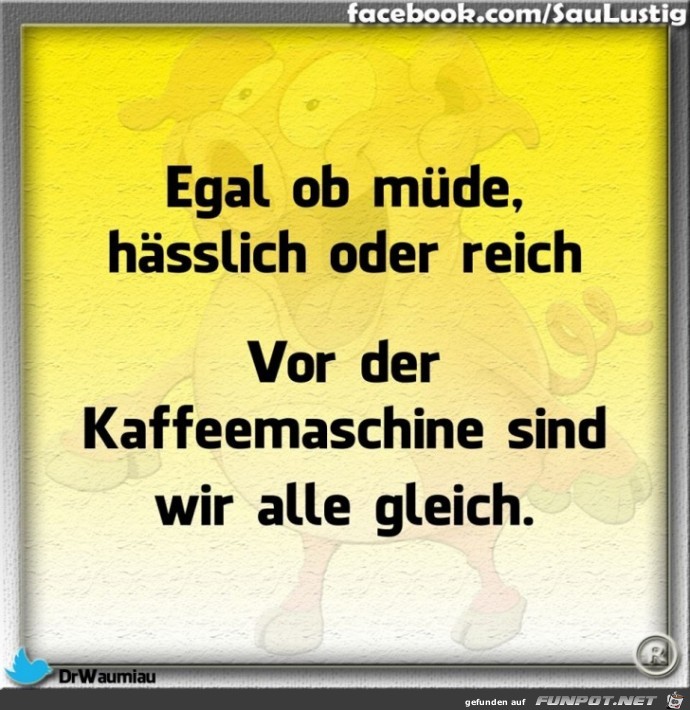 gleich gleich